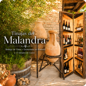 Experiencia Malandra – Visita y Cata de Vinos en Curicó